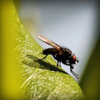 /album/le-fantastique-monde-de-france/photolia-a04-jpg/