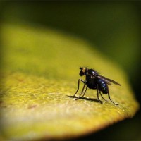 /album/le-fantastique-monde-de-france/photolia-a07-jpg/